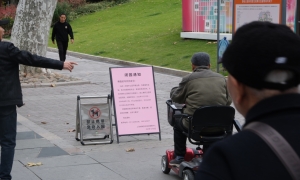 上海静安公园将开启9个月的闭园改造，未来会是什么样？