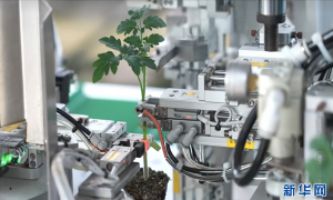 乡村振兴在行动｜农民体验智能化高效春耕