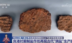 五千年前就有烧盐生产线？越国都城在哪？多个考古重磅发现公布