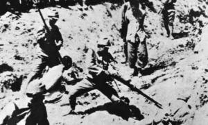 解放军报：坚定不移捍卫用鲜血和生命写下的历史