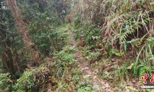 他认准了就干，待人热忱 家乡人眼中的张雪不只是冠军