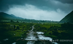 花甸坝：大理苍山深处的高山草甸徒步避暑胜地