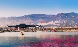 连云港的春天，正在被花与鲜重新定义