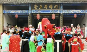 来河南“打春牛”，解锁立春仪式感