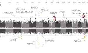 别在家里抽烟了！二手烟正在“修改”你家孩子的DNA