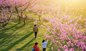 春光正好，文旅消费暖意浓