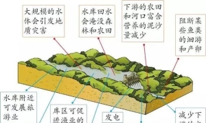 高考地理：修建水库与拆除大坝
