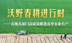沃野春耕进行时