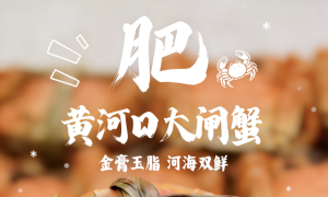 谁说冬天是淡季？看“鲁大壮”的冬日丰收图鉴！