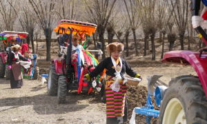 西藏农区迎来春耕大典