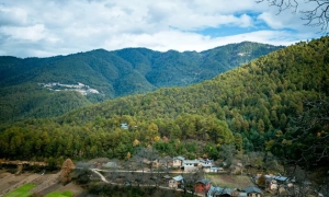 独行者的浪漫自由——走进山野，留在山野，长成山野