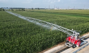 希望的田野上，春耕绘丰景