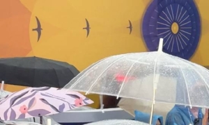 斯琴高娃雨中搀扶92岁牛犇走红毯，百岁影人风骨感动全网