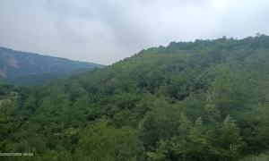 甘肃泾川县：生态富民绘新卷