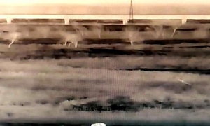 佳木斯边境惊现“熊出没” 民警逐户提醒附近村民