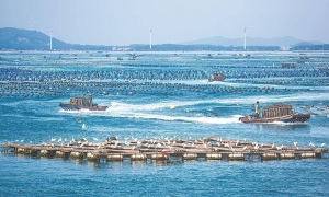 从三组关系，看现代版“富春山居图”如何绘就