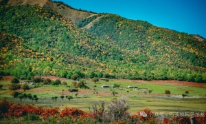 大小花甸坝的秋色——大理苍山深处的人间仙境徒步秘境