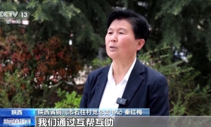 从“互助式食堂”到“湾区安居” 多元探索破解养老难题