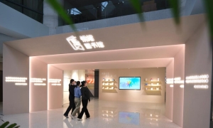 “数纸交融”：当下年轻人为“花式阅读”买单