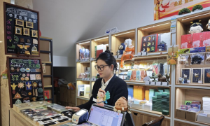 小城，何以生机勃勃丨申遗成功的西夏陵带旺西夏区