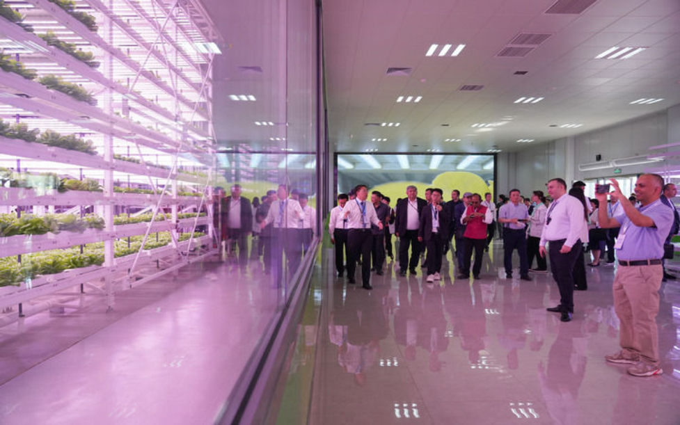 共同奔赴美好未来——中国携手上合伙伴汇聚和平发展力量