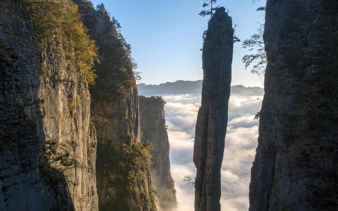 叫停付费“插队”