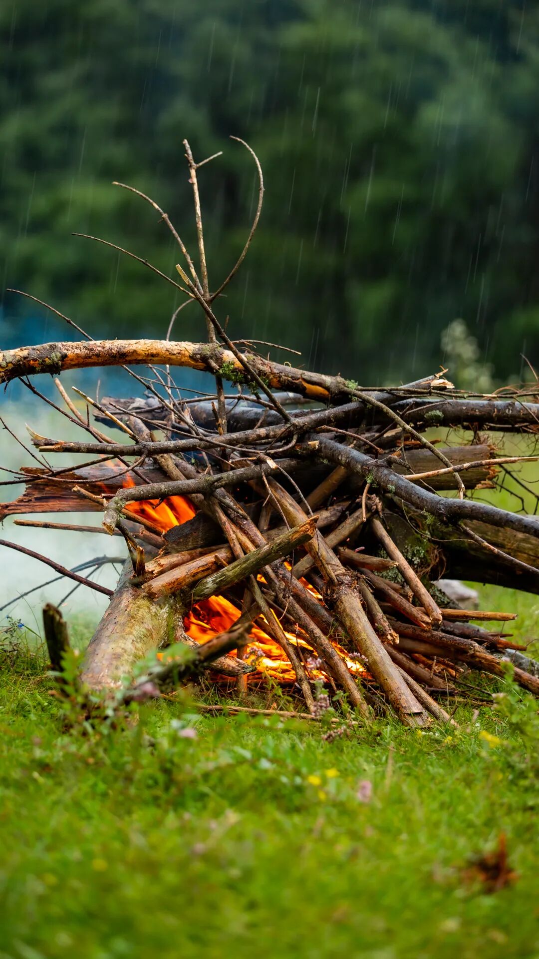 徒步火山村只有村民知晓的森林草甸