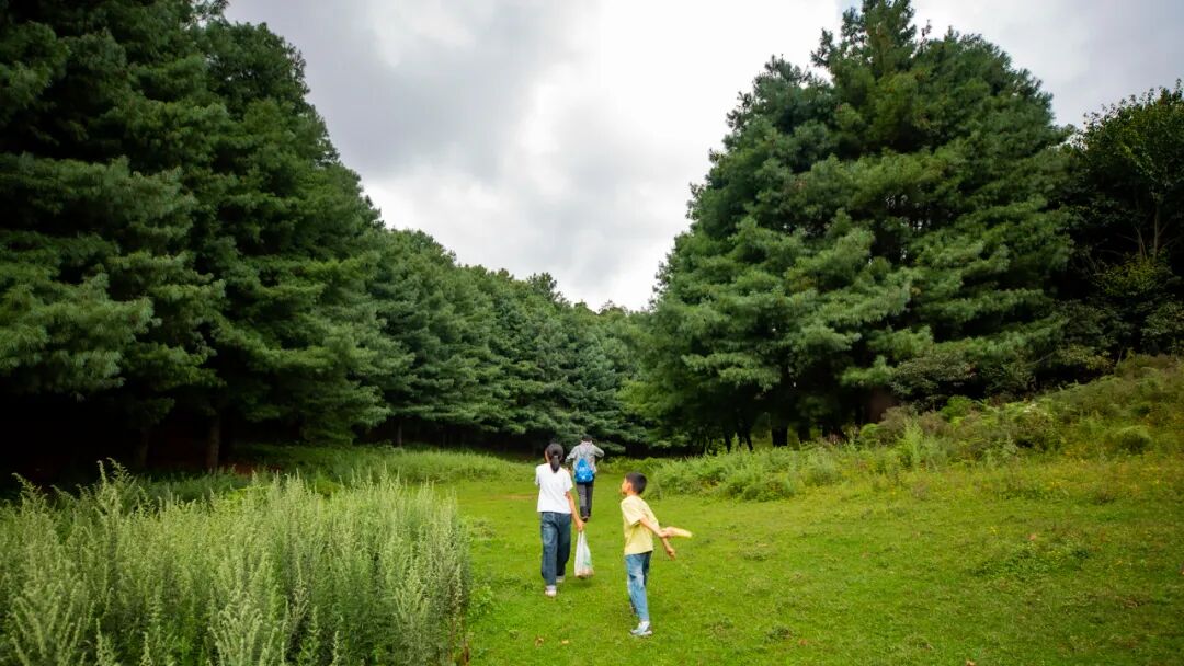 徒步火山村只有村民知晓的森林草甸