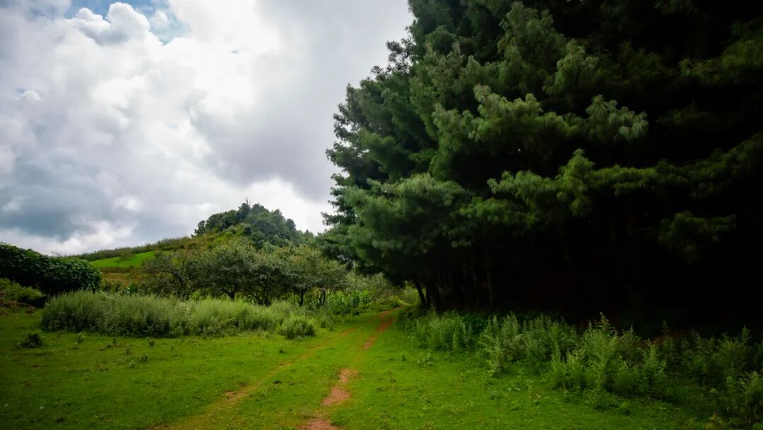 徒步火山村只有村民知晓的森林草甸