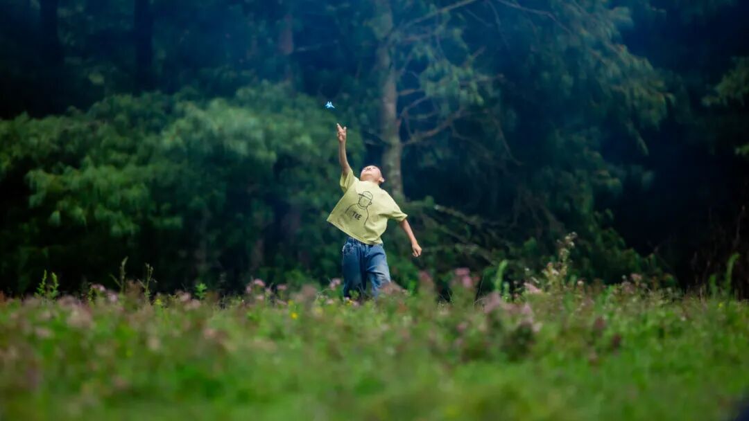 徒步火山村只有村民知晓的森林草甸