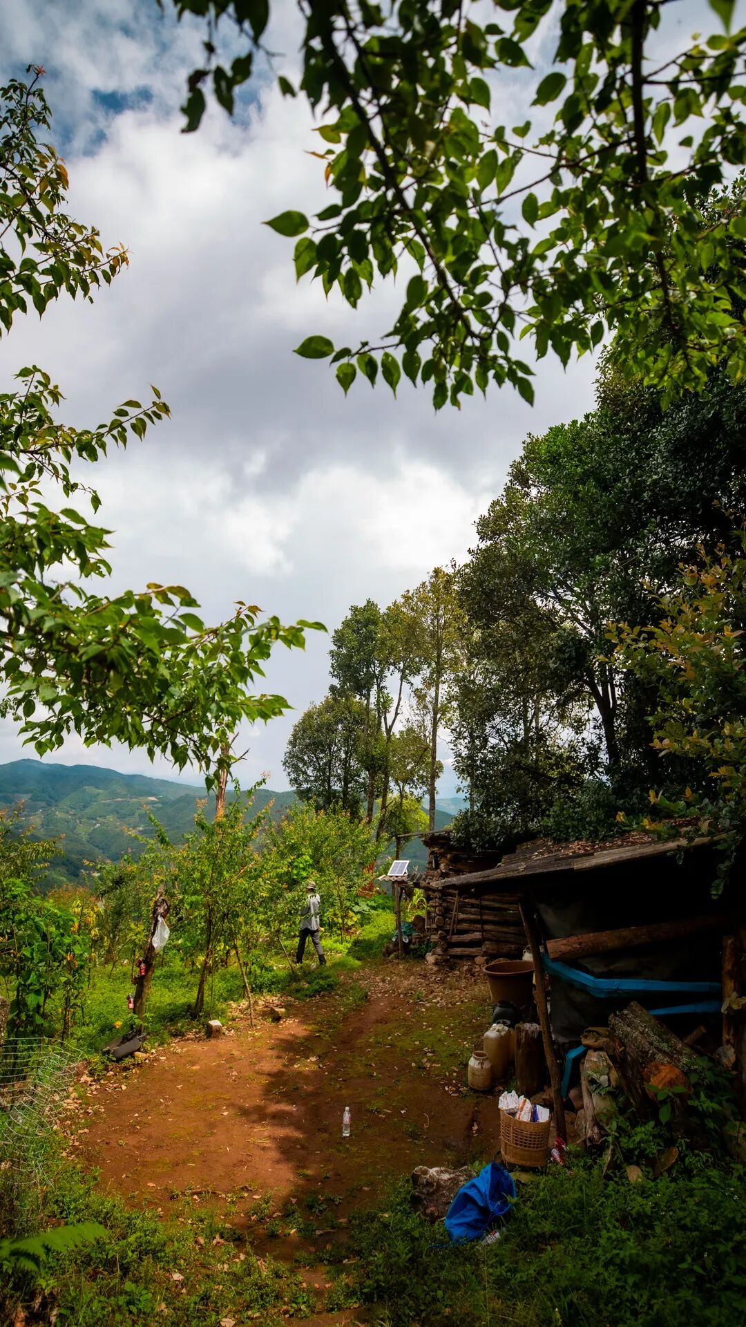 徒步火山村只有村民知晓的森林草甸