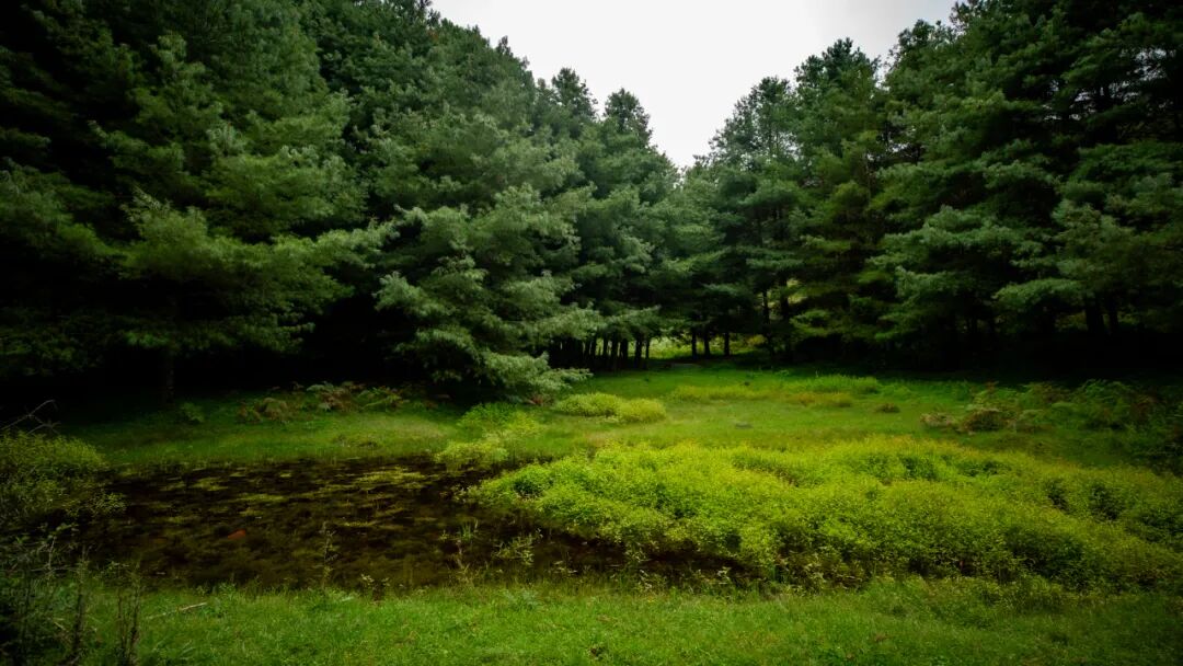 徒步火山村只有村民知晓的森林草甸