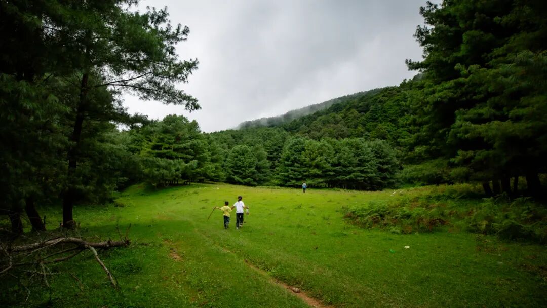 徒步火山村只有村民知晓的森林草甸