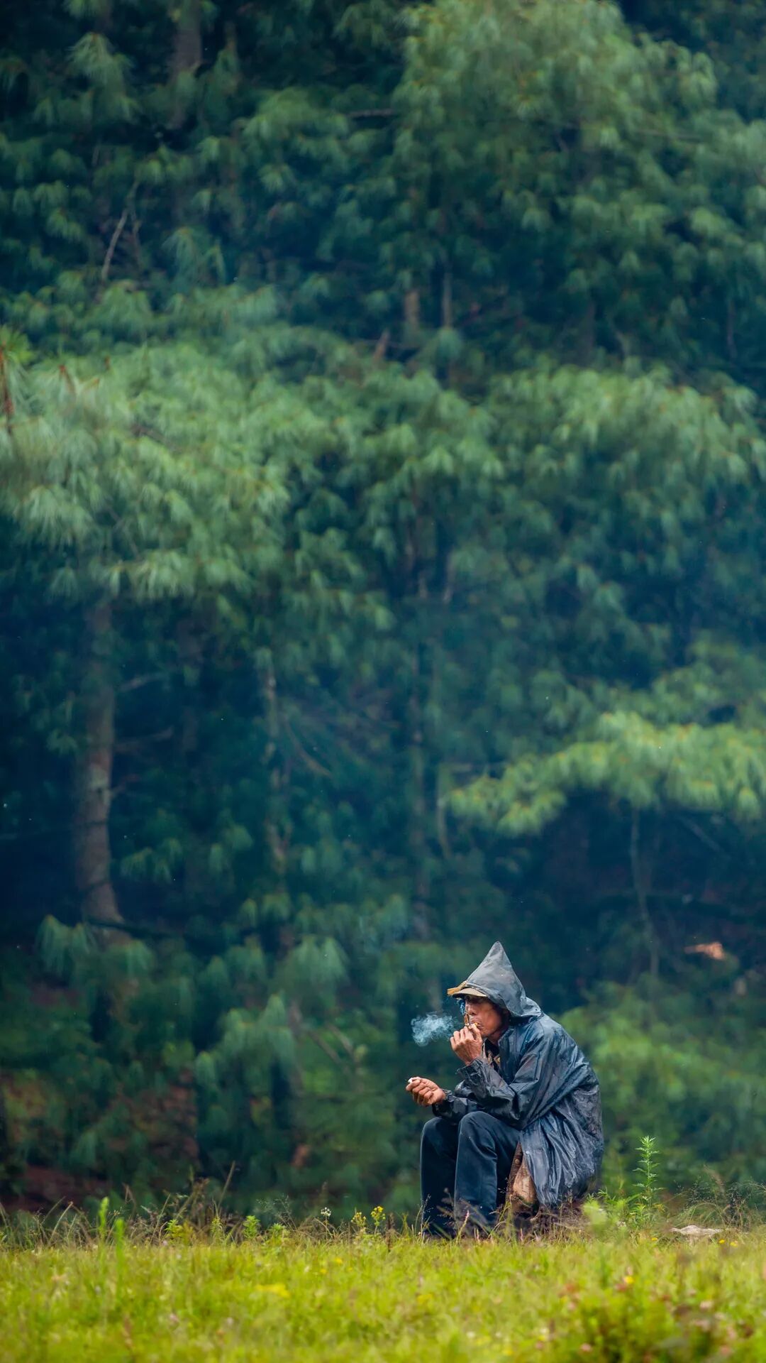 徒步火山村只有村民知晓的森林草甸