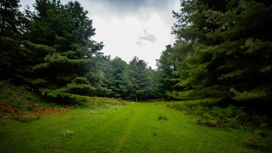 徒步火山村只有村民知晓的森林草甸