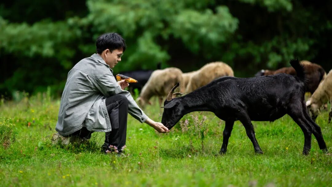 徒步火山村只有村民知晓的森林草甸