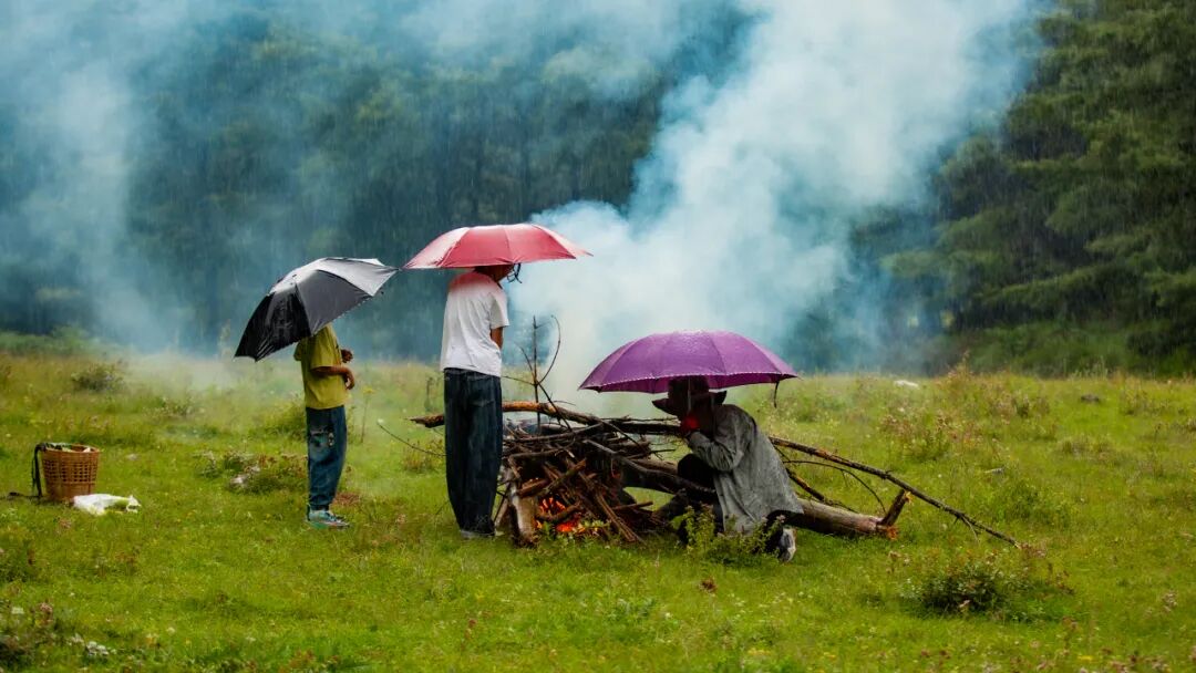 徒步火山村只有村民知晓的森林草甸