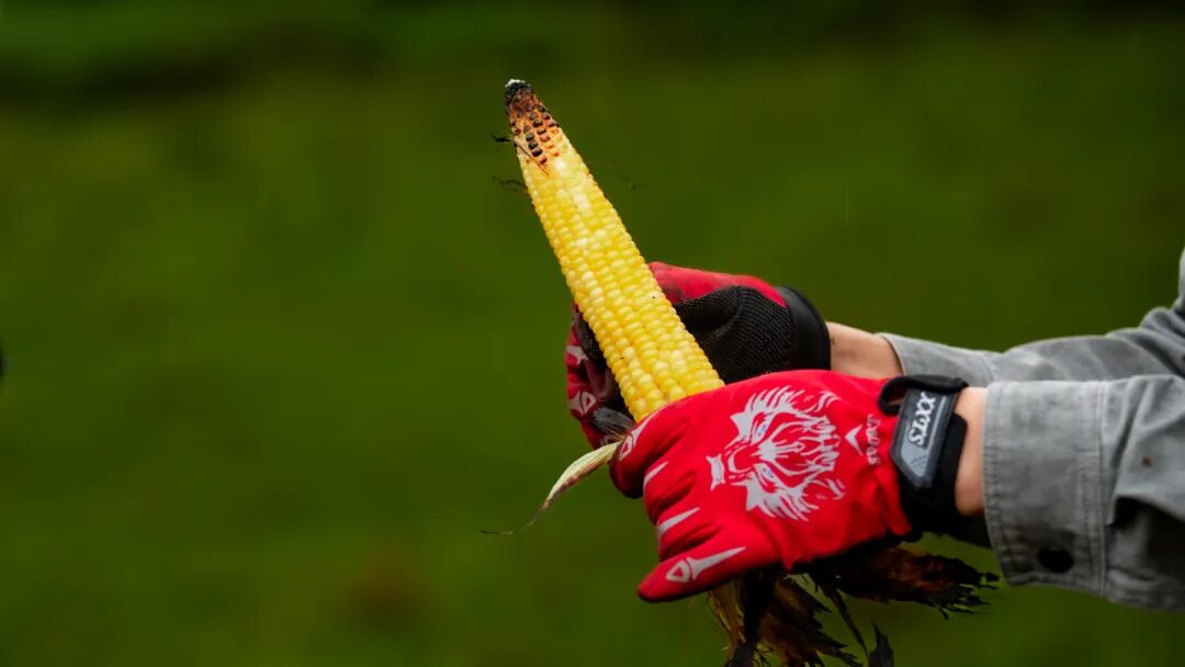 徒步火山村只有村民知晓的森林草甸