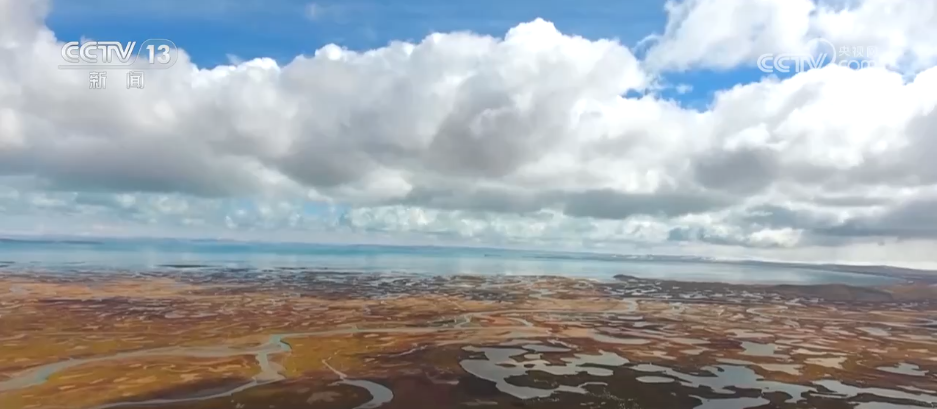 国家公园法颁布实施有何重要意义？来看专家解读