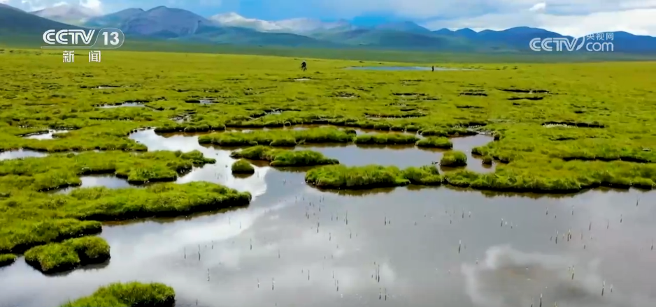国家公园法颁布实施有何重要意义？来看专家解读