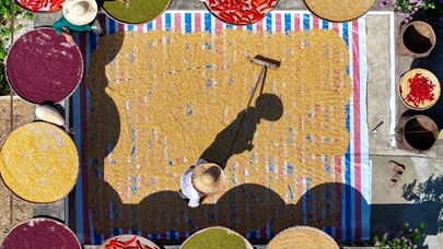 安徽歙县：土楼晒秋