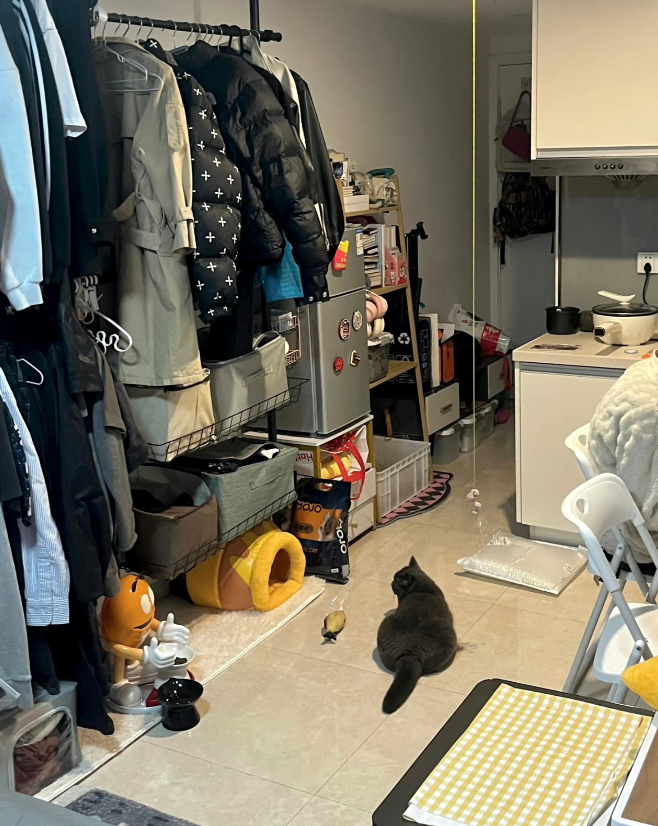 现在的骗子，真让人脊背发凉