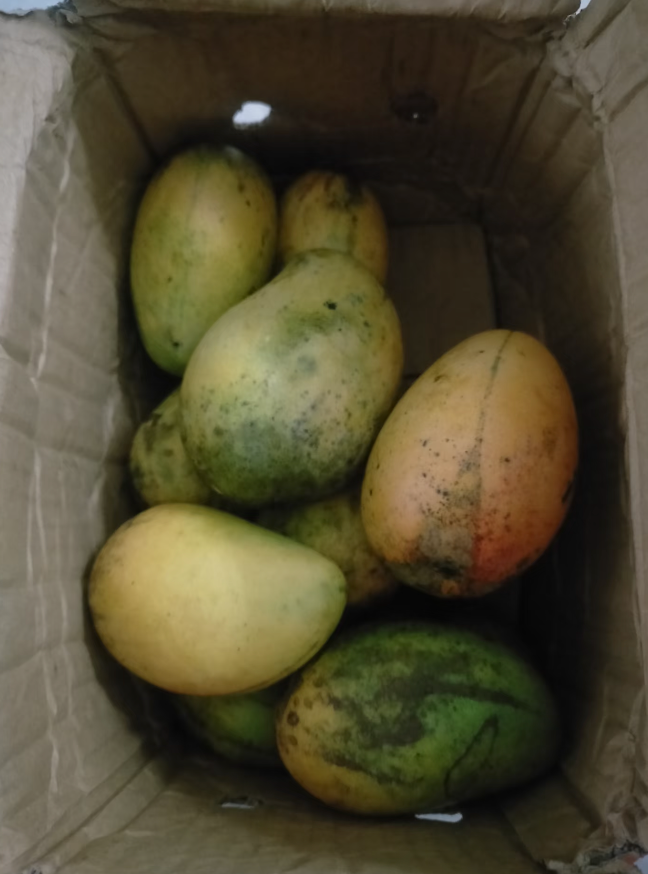 现在的骗子，真让人脊背发凉