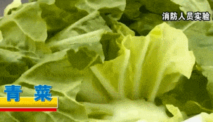 忘关火，出门27天回家后才发现！