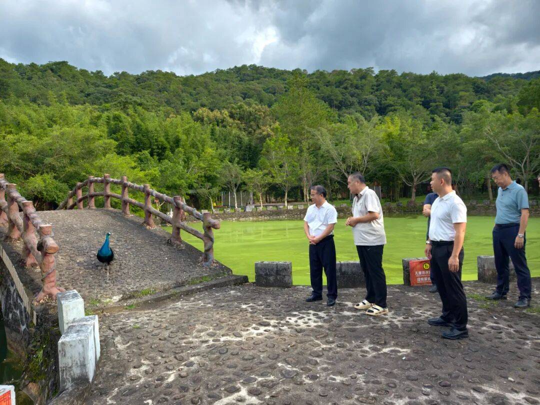 旅游景区开发建设情况
