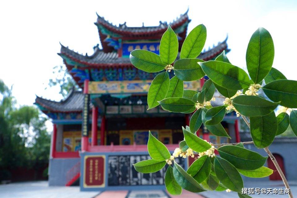 商丘火神台景区开启秋日浪漫篇章