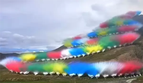 专家称烟花秀可能影响鼠兔