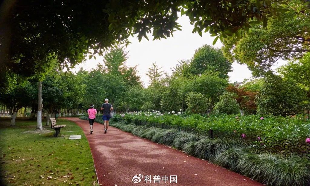 零成本零门槛！一个最被忽视的日常习惯竟能降低多种疾病风险还能减肥