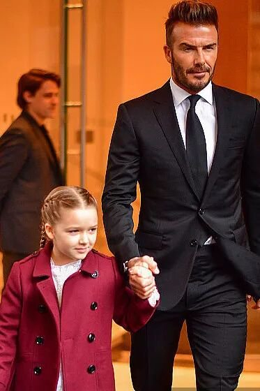 继承母亲衣钵的小七