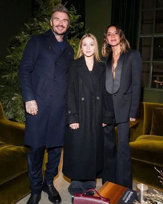 继承母亲衣钵的小七